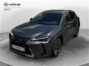 Lexus UX Hybrid 4WD Luxury del 2019 usata a Como