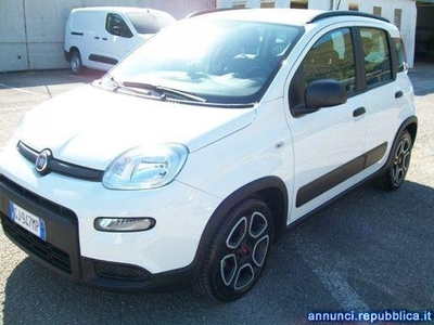Fiat Panda 1.0 FireFly S&S Hybrid City Life San Giorgio a Liri