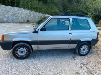 Venduto Fiat Panda 4x4 1100 i.e. cat . - auto usate in vendita