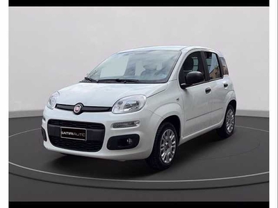 Fiat Panda 1.2 Easy Van 4 posti usato