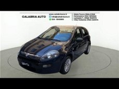 Fiat Punto Evo 1.2 5 porte S&S Dynamic del 2011 usata a Gioia Tauro