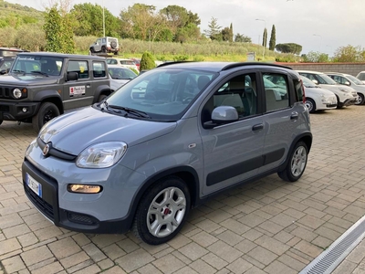 Fiat Panda 1.0