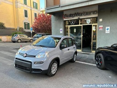 Fiat Panda 1.0 FireFly Hybrid -Pronta Consegna Nuovo Mod Roma