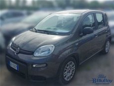 Fiat Panda 1.0 FireFly S&S Hybrid Easy del 2022 usata a Livorno