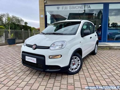 Fiat Panda 1.0 FireFly S&S Hybrid - KM0 Cadrezzate