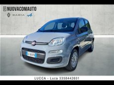 Fiat Panda 1.0 firefly hybrid s&s 70cv 5p.ti del 2021 usata a Sesto Fiorentino