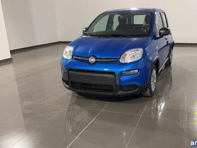 Fiat Panda 1.0 FireFly S&S Hybrid #varicolori Spinea