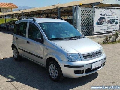 FIAT - Panda - 1.2 Dynamic