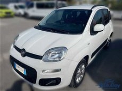 Fiat Panda 1.3 MJT 95 CV S&S Easy my 18 del 2018 usata a Livorno