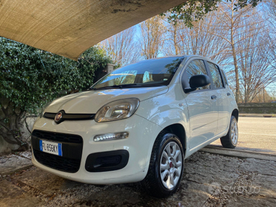 Fiat Panda 3^Serie 2018 Ok NEOPATENTATI
