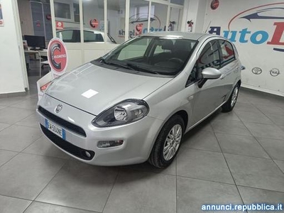 Fiat Punto 1.2 8V 5 porte Lounge + GPL ZAVOLI Striano