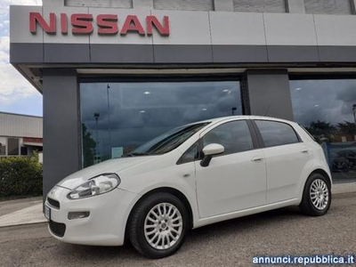 Fiat Punto 1.2 8V 5P Street GPL - PER NEOPAT - KM CERTIFIC Modena