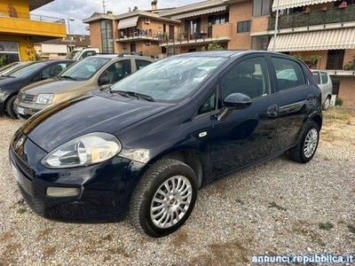 Fiat Punto 1.4 8V 5 porte Natural Power Street Altidona