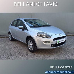 Fiat Punto 1.4 8V 5 porte Natural Power Young Feltre