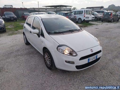 Fiat Punto 1.4 8V Easypower Lounge PER NEOPATENTATI Forlimpopoli