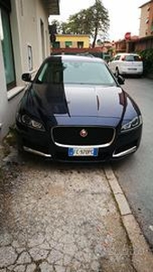 JAGUAR XF 2ª serie (X260) - 2016