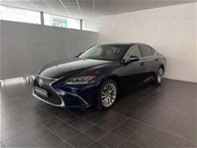 Lexus ES 300h 2.5 Luxury cvt del 2020 usata a Torino