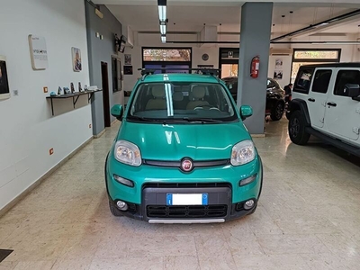 Usato 2014 Fiat Panda 4x4 1.2 Diesel 75 CV (10.900 €)