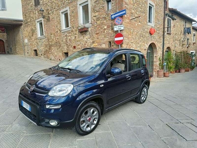 Usato 2015 Fiat Panda 4x4 1.2 Diesel 75 CV (8.000 €)