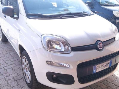 Usato 2019 Fiat Panda 0.9 CNG_Hybrid 80 CV (9.400 €)