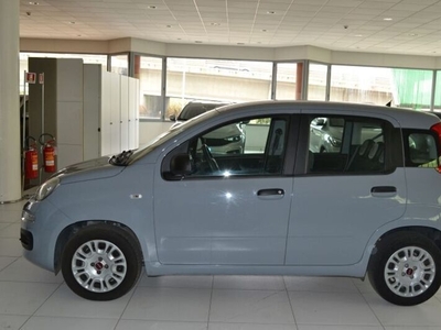 Usato 2019 Fiat Panda 1.2 Benzin 69 CV (10.900 €)