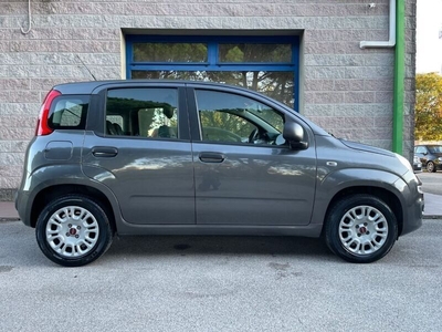 Usato 2019 Fiat Panda 1.2 Benzin 69 CV (9.800 €)