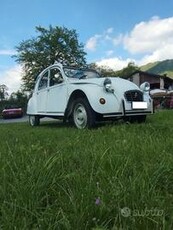 Citroen 2CV special