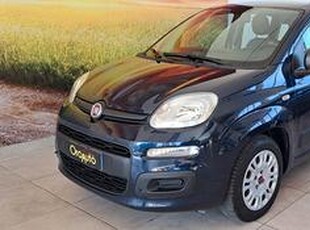 FIAT New Panda 1.3 Mjt -Clima-V.Elettrici-Unip2017