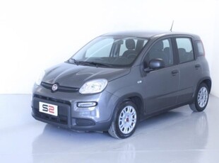 Fiat Panda 1.0 firefly hybrid s&s 70cv 5p.ti usato