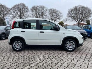 FIAT PANDA 1.0 FireFly S&S Hybrid My23 + RADIO KM 0 ONGARATO MOTORS SRL