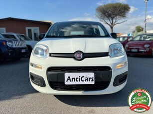 Fiat Panda 1.2 Easy Van 4 posti usato