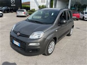 Fiat Panda 1.0 FireFly S&S Hybrid City Cross del 2022 usata a Lucca