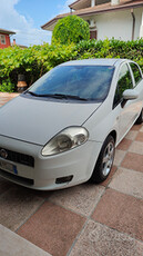 Fiat punto neopatentati