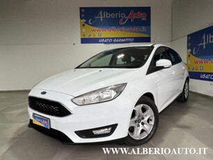 Ford Focus 1.6 TDCi 95 CV Plus usato