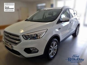 Ford Kuga 1.5 EcoBoost 120 CV S&S 2WD Business usato