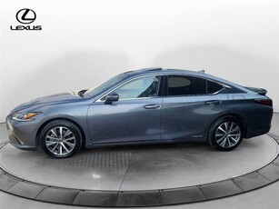 LEXUS ES Hybrid Business