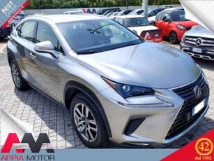 Lexus NX Hybrid 4WD Executive usato