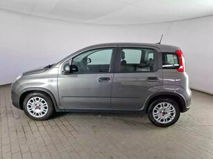 Fiat Panda Ibrida Usata