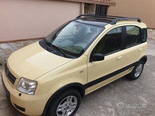 Usato 2006 Fiat Panda 4x4 1.2 Benzin 60 CV (4.200 €)