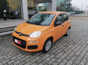 Usato 2019 Fiat Panda 1.2 Benzin 69 CV (8.450 €)