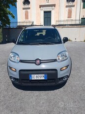 Usato 2021 Fiat Panda 1.0 El_Hybrid 70 CV (11.600 €)
