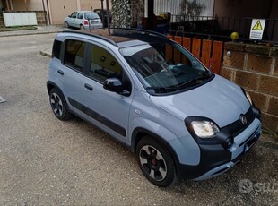 Usato 2021 Fiat Panda 1.0 El_Hybrid 70 CV (13.300 €)