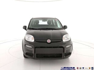 Usato 2023 Fiat Panda 1.0 El_Hybrid 69 CV (12.950 €)
