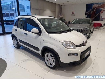 Fiat Panda 1.0 FireFly S&S Hybrid City Life Torino