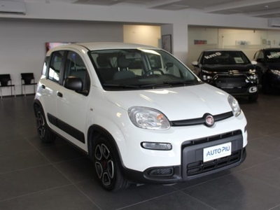 Fiat Panda 1.0 firefly hybrid s&s 70cv 5p.ti usato