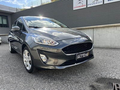 Ford Fiesta 1.1 5 porte Plus usato