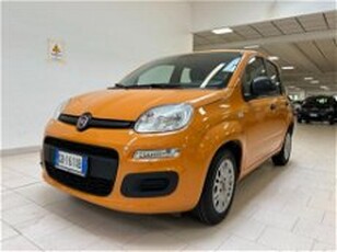 Fiat Panda 1.0 firefly hybrid s&s 70cv 5p.ti del 2020 usata a Bra