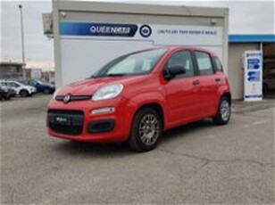 Fiat Panda 1.0 firefly hybrid s&s 70cv 5p.ti del 2022 usata a Pianezza