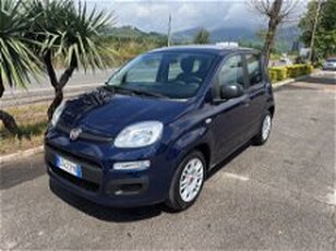 Fiat Panda 1.0 FireFly S&S Hybrid Easy del 2021 usata a Lucca