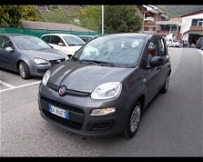 Fiat Panda 1.2 Active EasyPower del 2022 usata a Pont Saint Martin